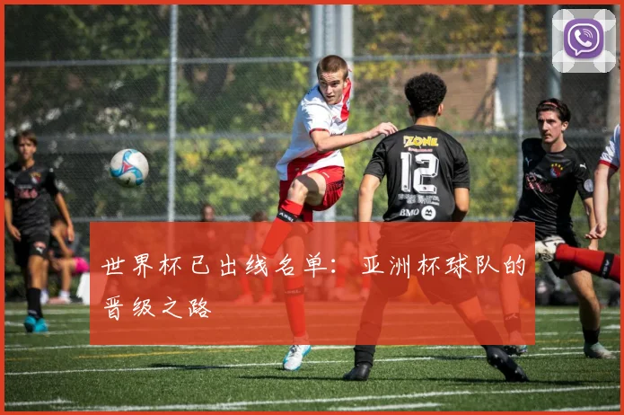 世界杯已出线名单：亚洲杯球队的晋级之路
